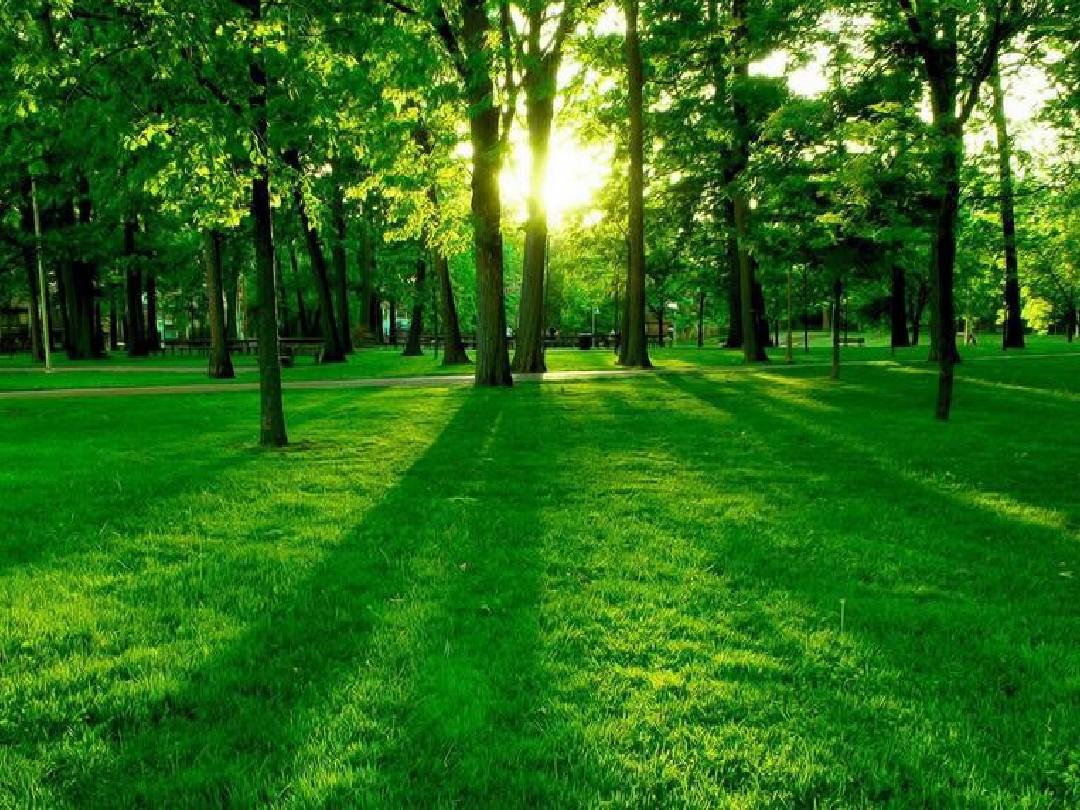 中國(guó)工程院院士王雙明：煤炭兜底”與“綠色低碳”并行不悖